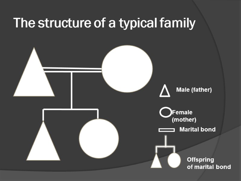 The structure of a typical family       Male (father)